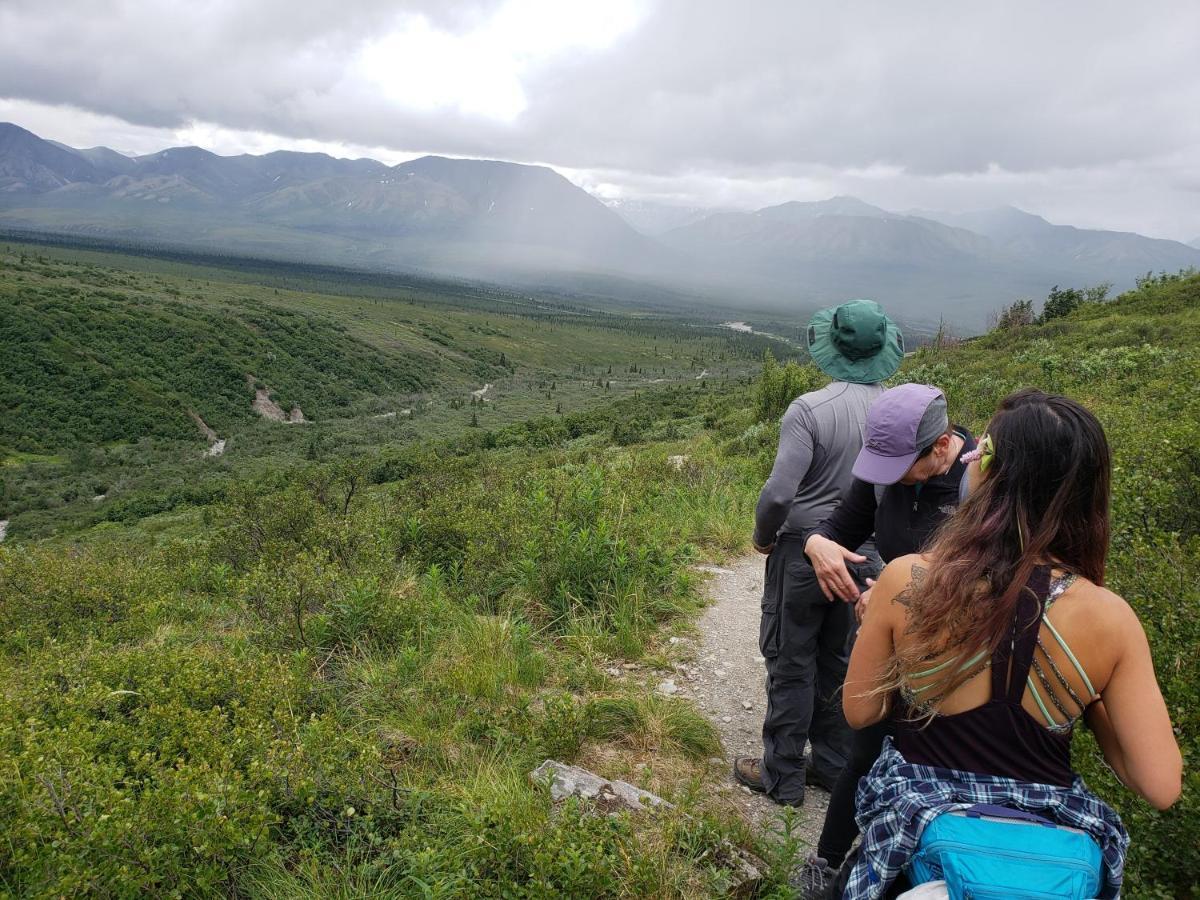Denali Wild Stay - Moose Cabin, Free Wifi, 2 private bedrooms Healy Buitenkant foto