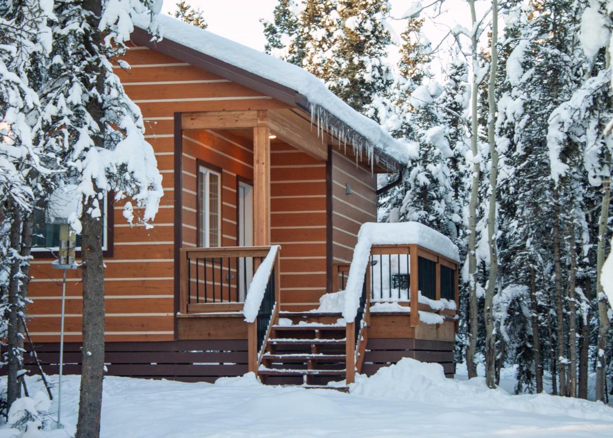 Denali Wild Stay - Moose Cabin, Free Wifi, 2 private bedrooms Healy Buitenkant foto