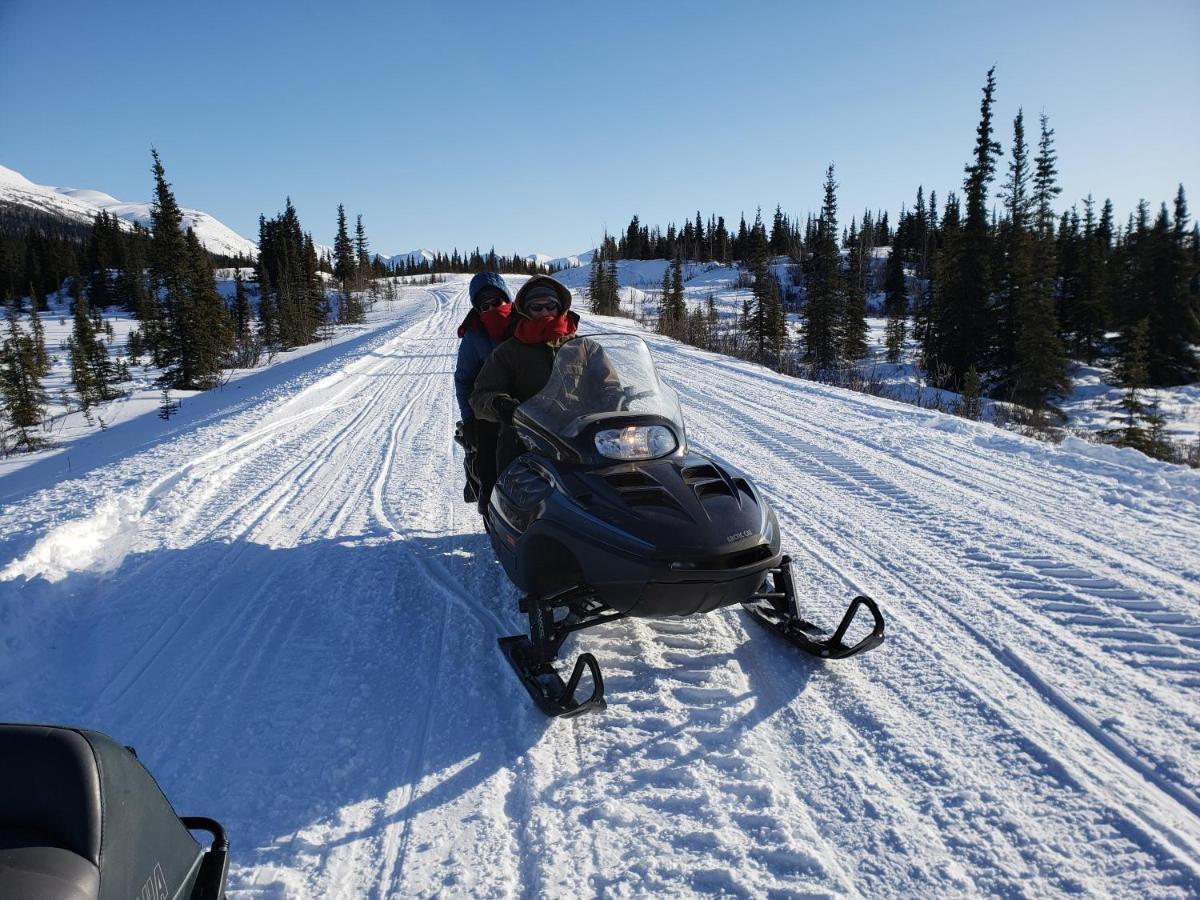 Denali Wild Stay - Moose Cabin, Free Wifi, 2 private bedrooms Healy Buitenkant foto