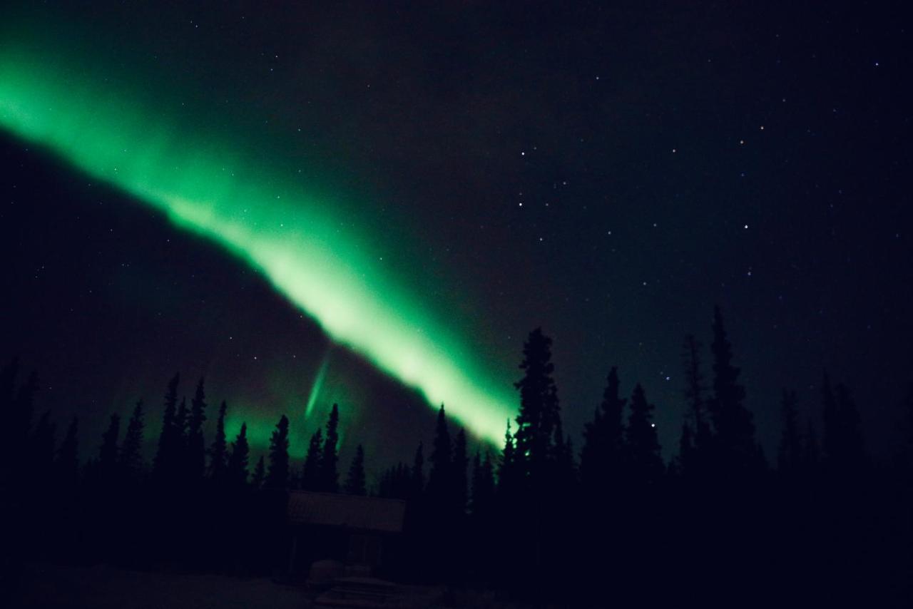 Denali Wild Stay - Moose Cabin, Free Wifi, 2 private bedrooms Healy Buitenkant foto