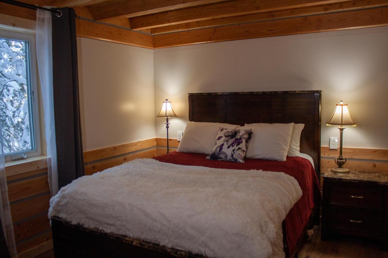 Denali Wild Stay - Moose Cabin, Free Wifi, 2 private bedrooms Healy Buitenkant foto