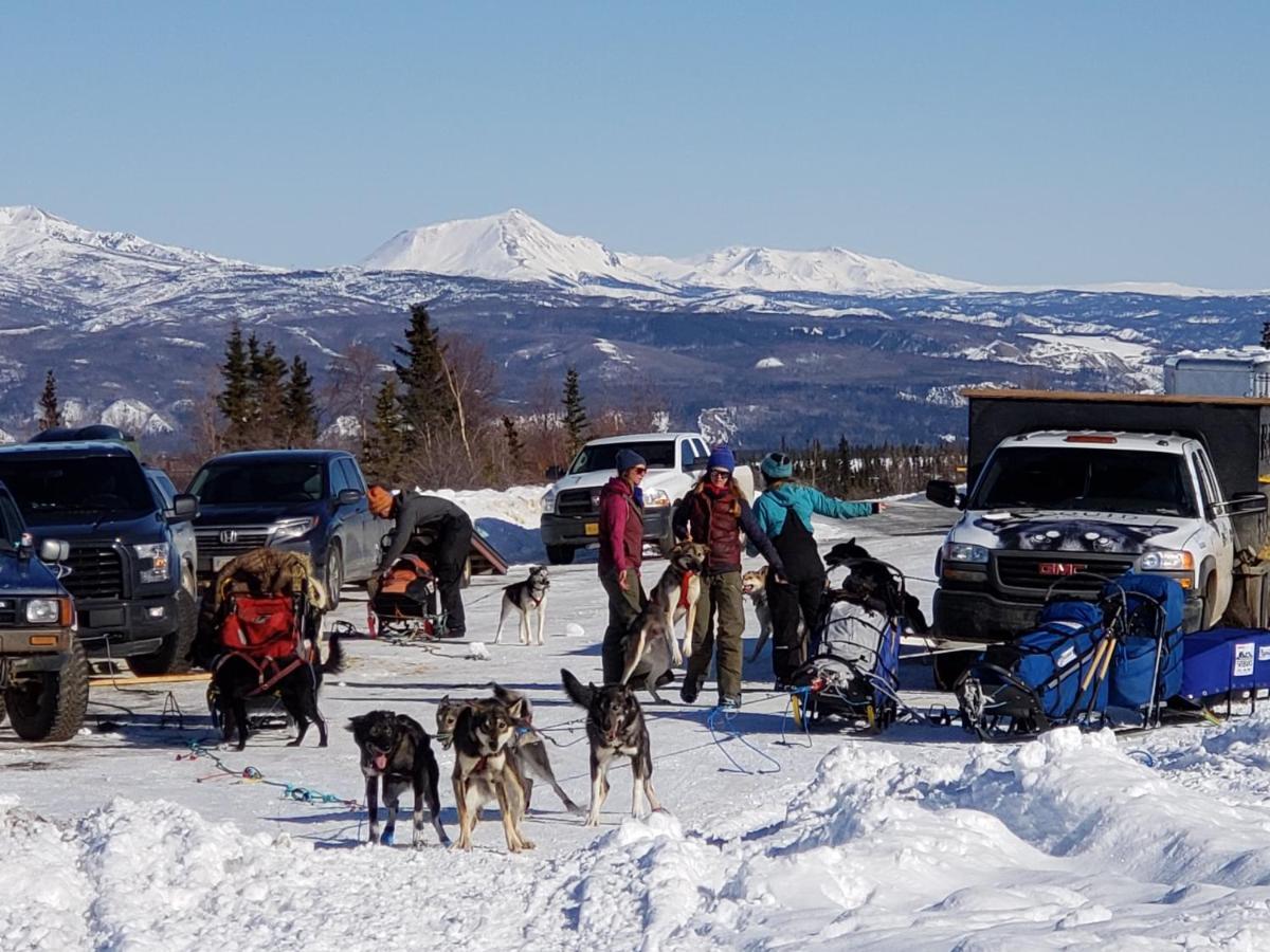 Denali Wild Stay - Moose Cabin, Free Wifi, 2 private bedrooms Healy Buitenkant foto