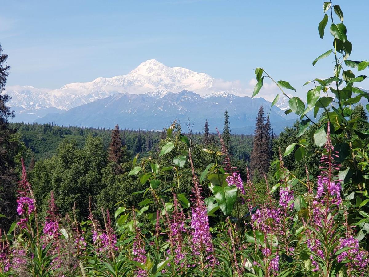 Denali Wild Stay - Moose Cabin, Free Wifi, 2 private bedrooms Healy Buitenkant foto
