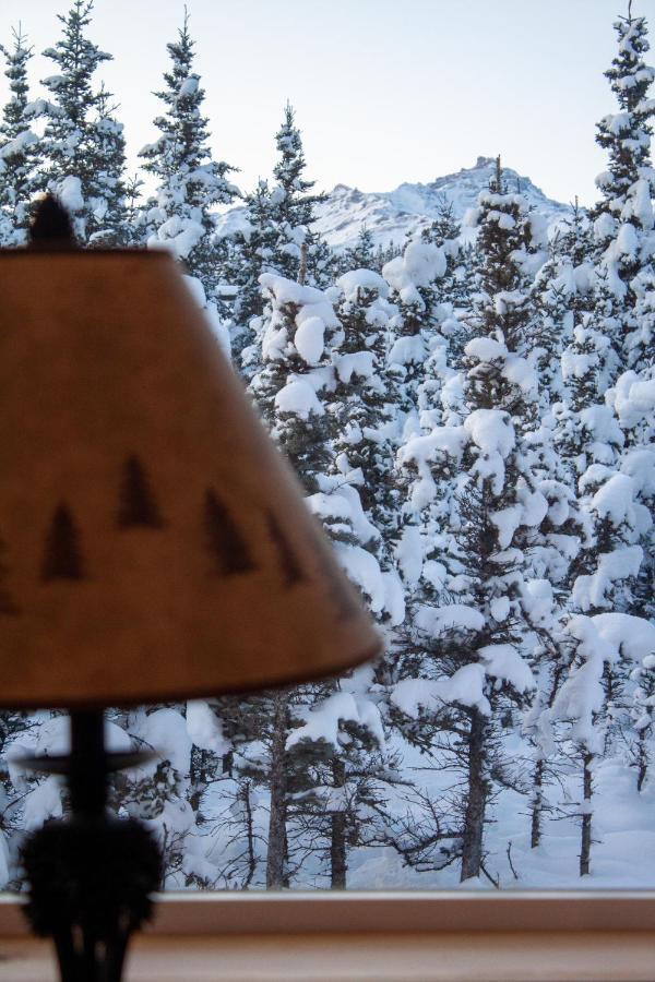 Denali Wild Stay - Moose Cabin, Free Wifi, 2 private bedrooms Healy Buitenkant foto
