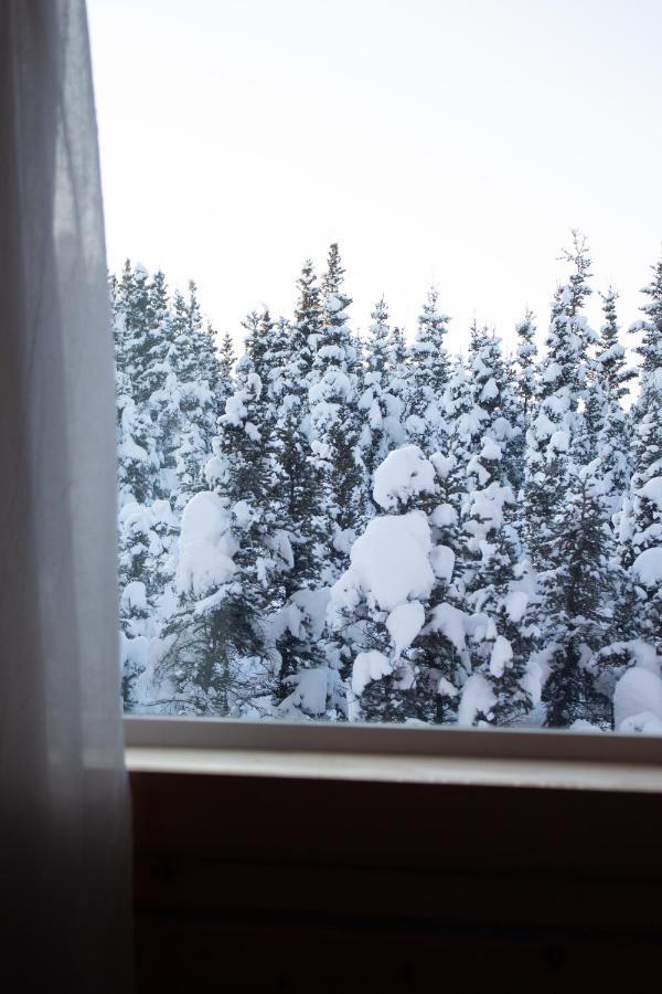 Denali Wild Stay - Moose Cabin, Free Wifi, 2 private bedrooms Healy Buitenkant foto