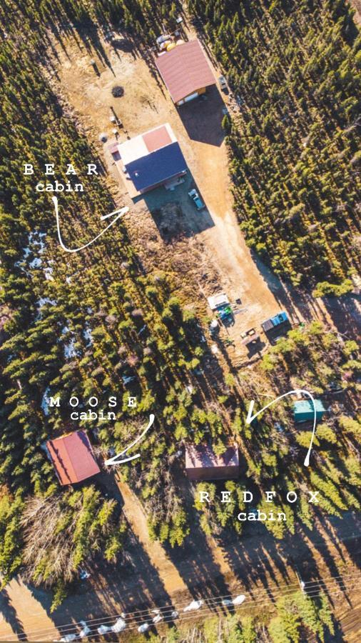 Denali Wild Stay - Moose Cabin, Free Wifi, 2 private bedrooms Healy Buitenkant foto