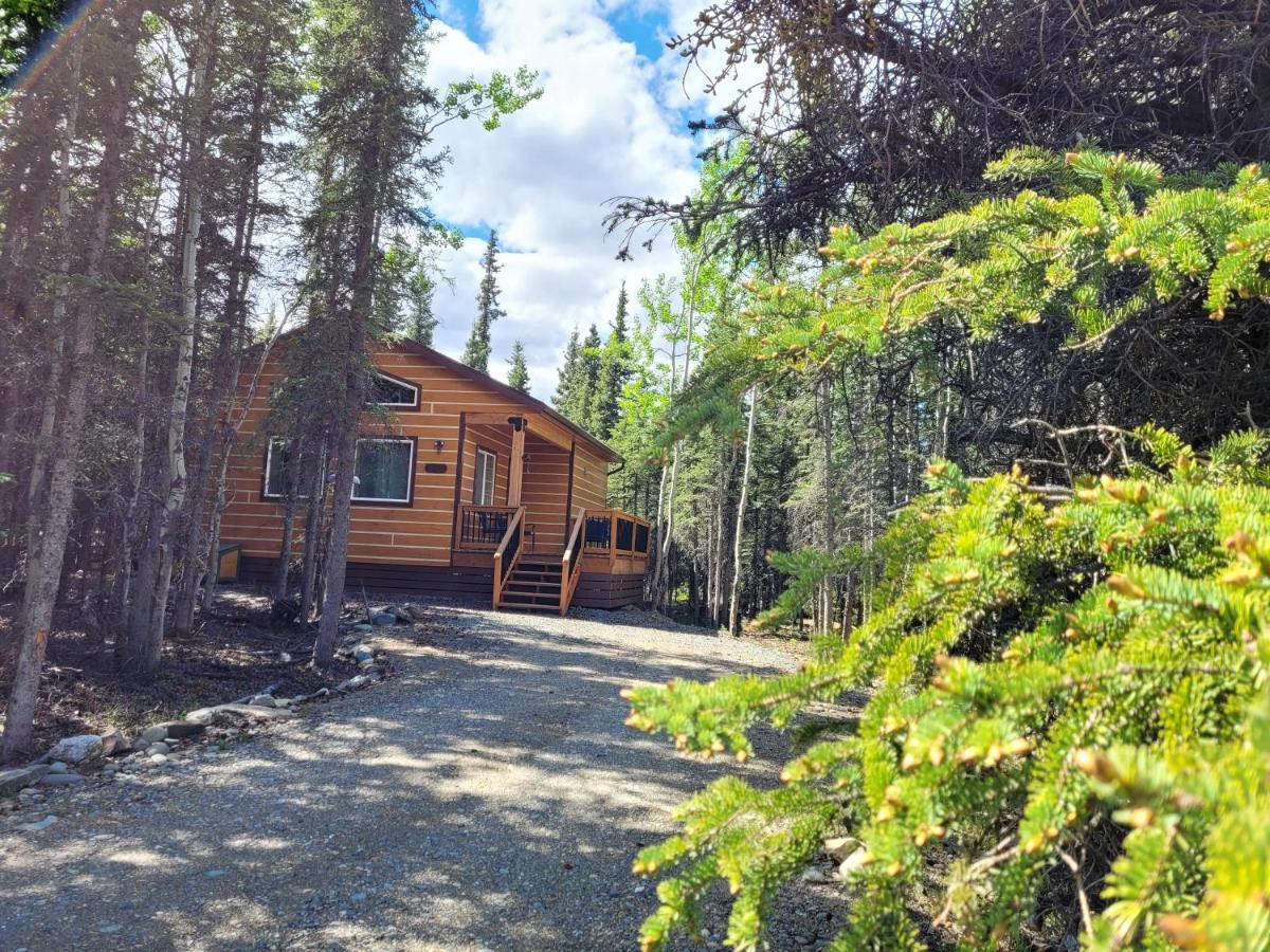 Denali Wild Stay - Moose Cabin, Free Wifi, 2 private bedrooms Healy Buitenkant foto
